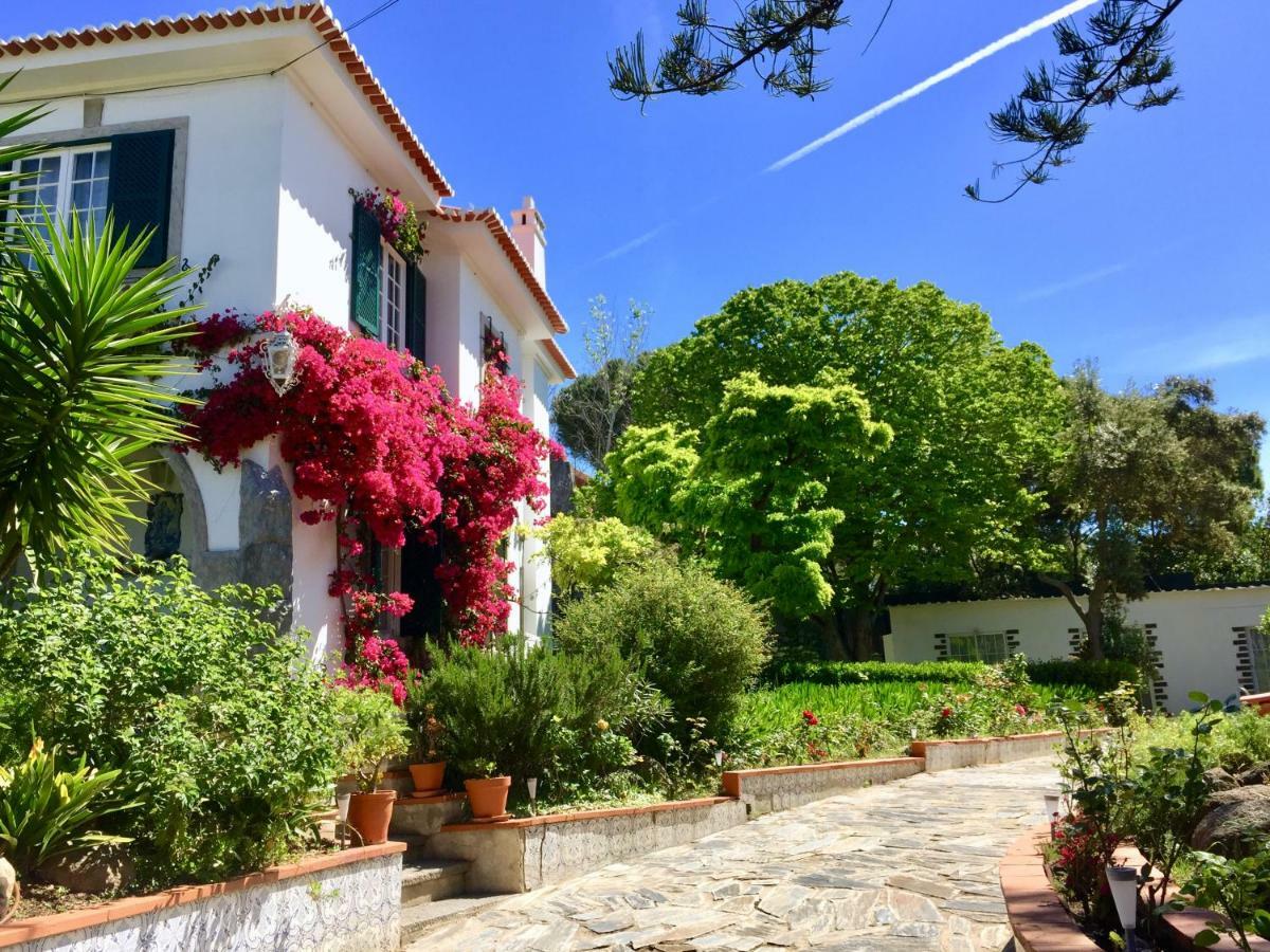 Cascais Seaside Garden Villa Kültér fotó